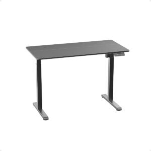 Escritorio Electrico Regulable En Altura